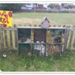 Visiting artists helped our tudents create bespoke creature houses for our sensory garden
