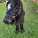 thumbnail_IMG_0443