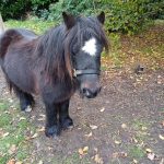 thumbnail_IMG_0445